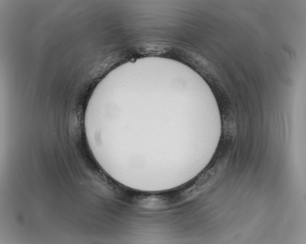 X0000112970460200909241330