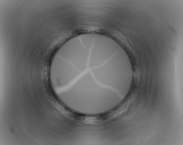 X0000112970462200909241330