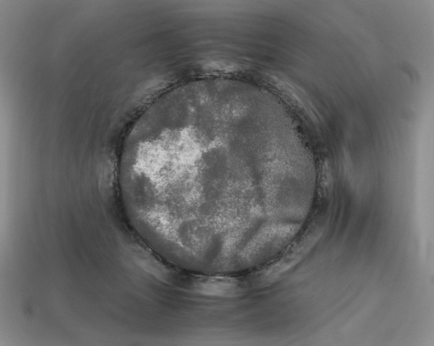 X0000112970463200909241330
