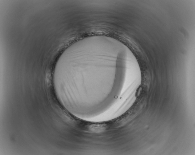X0000112970465200909241330
