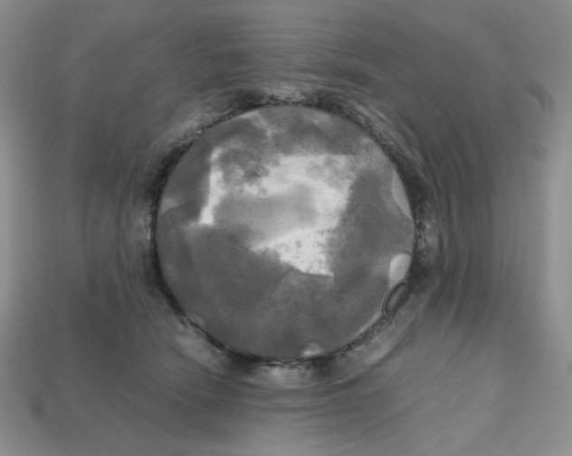 X0000112970466200909241330