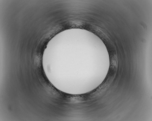 X0000112970468200909241330