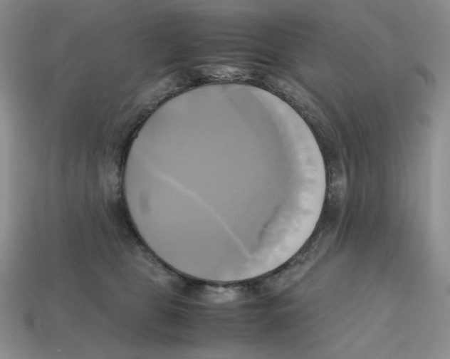 X0000112970469200909241330