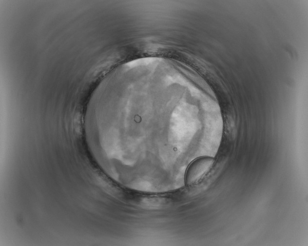 X0000112970470200909241330
