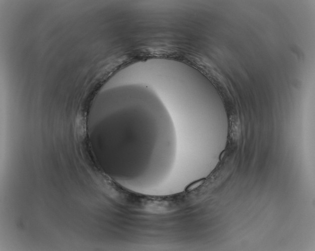 X0000112970471200909241330