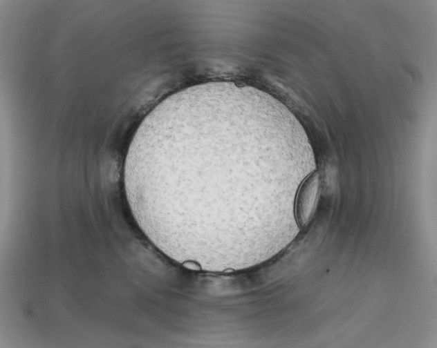 X0000112970472200909241330