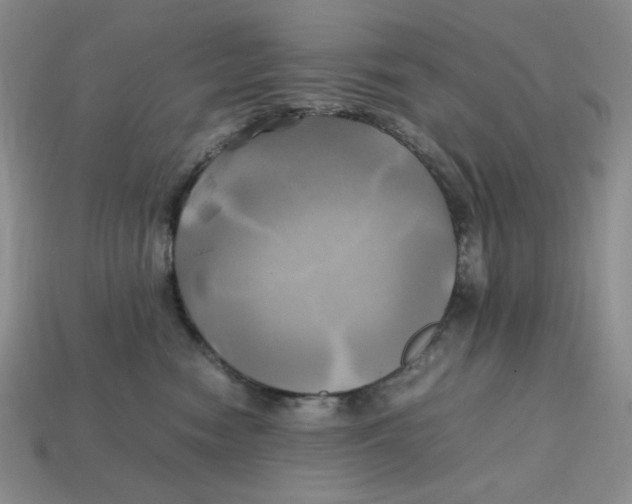 X0000112970474200909241330