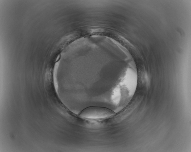 X0000112970475200909241330