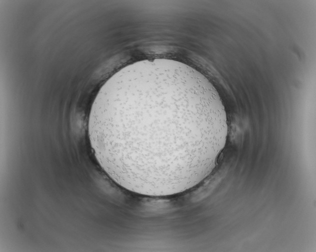 X0000112970476200909241330