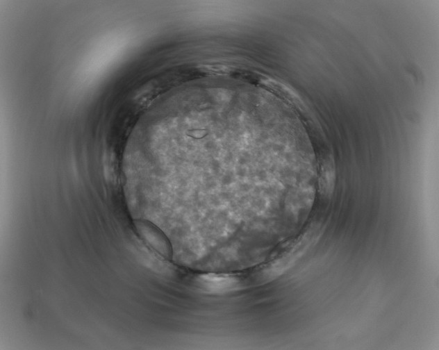X0000112970477200909241330