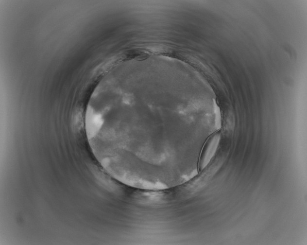 X0000112970478200909241330