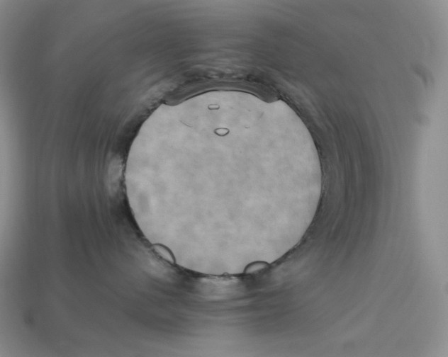X0000112970480200909241330