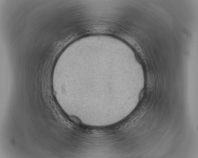 X0000112970481200909241330