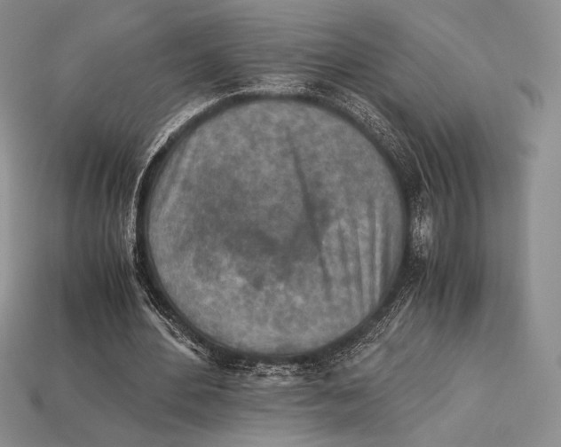 X0000112970484200909241330