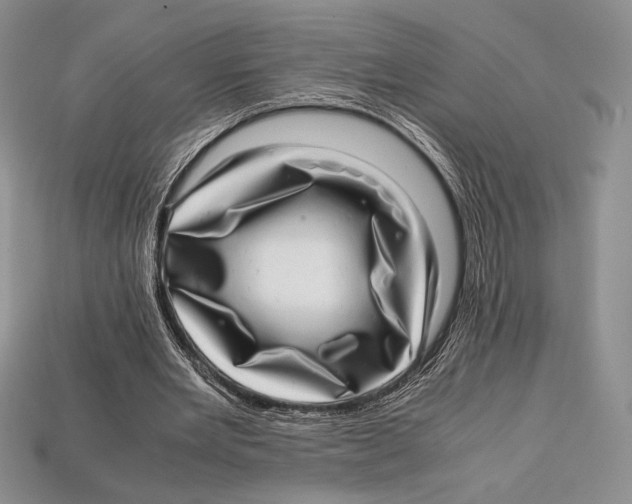 X0000112970485200909241330