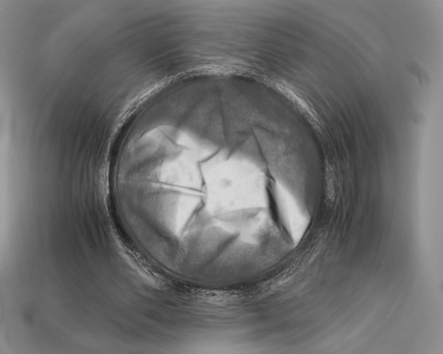 X0000112970486200909241330