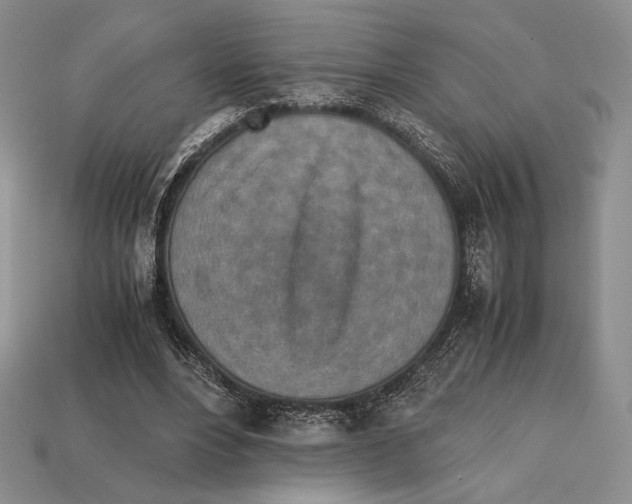 X0000112970488200909241330