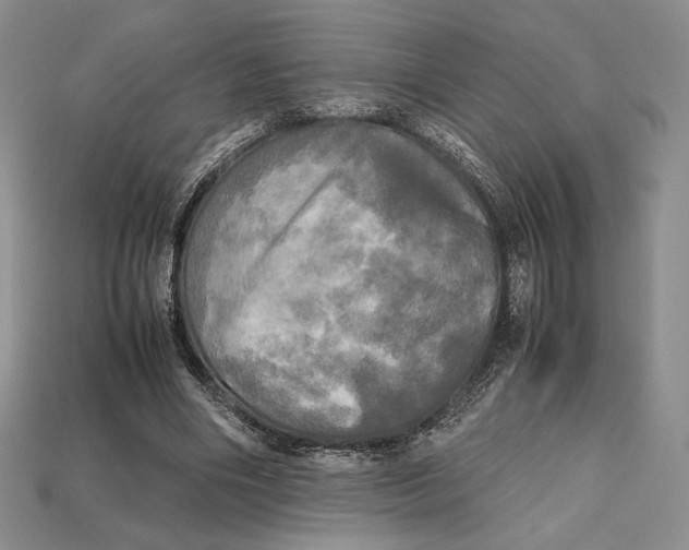 X0000112970490200909241330