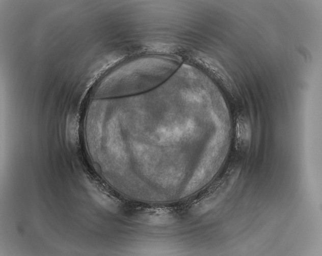 X0000112970492200909241330