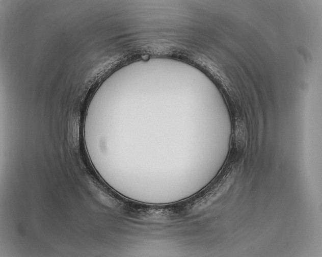 X0000112970493200909241329