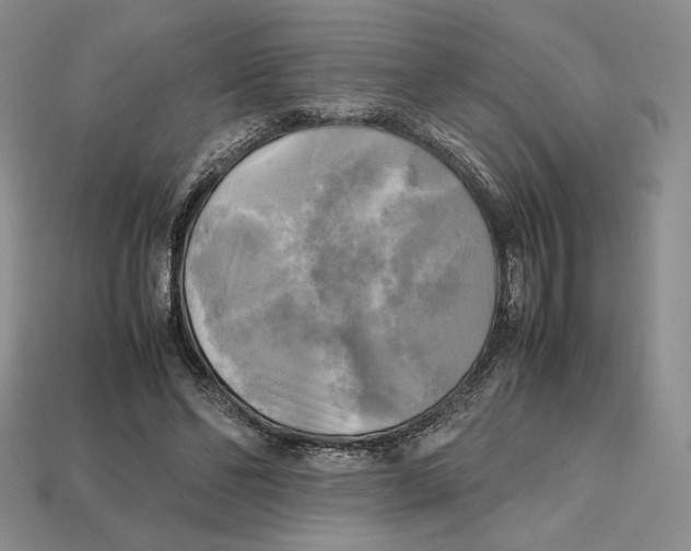 X0000112970494200909241329