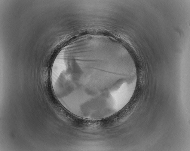 X0000112970495200909241329