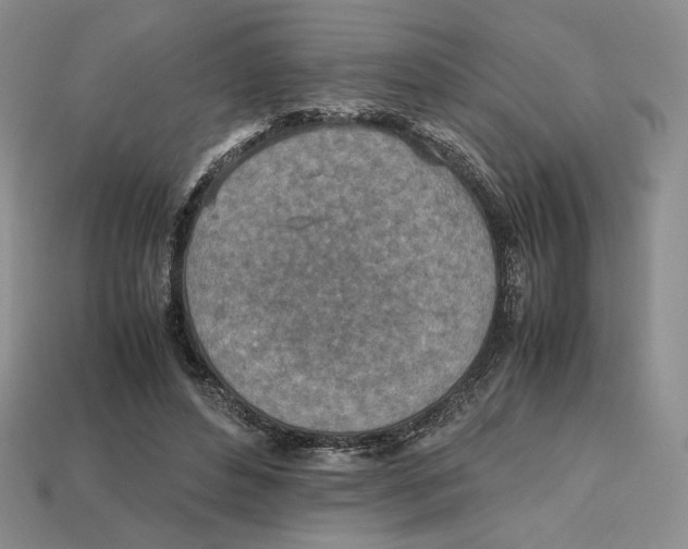 X0000112970496200909241329