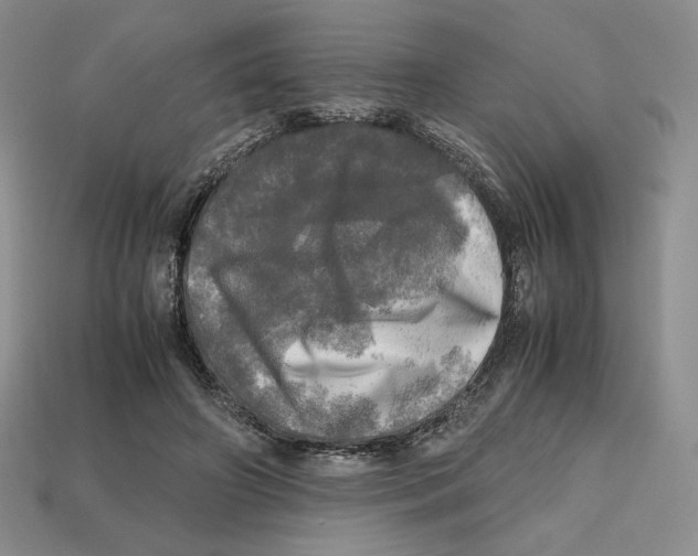 X0000112970498200909241329