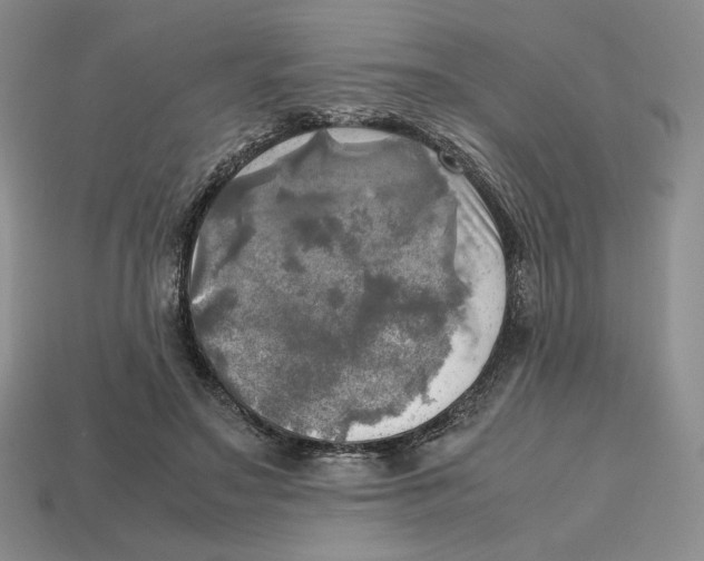 X0000112970499200909241329