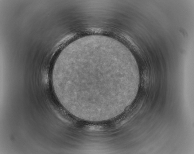 X0000112970500200909241329