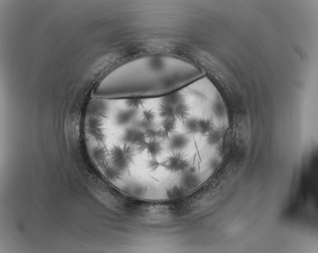 X0000112970501200909241329