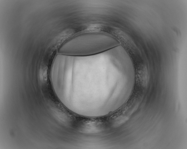X0000112970504200909241329