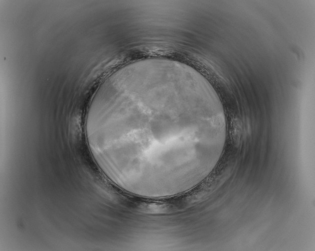 X0000112970506200909241329