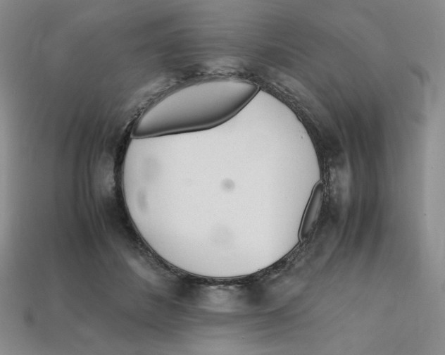 X0000112970508200909241329