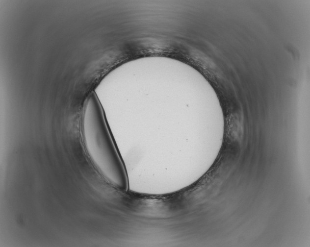 X0000112970509200909241329
