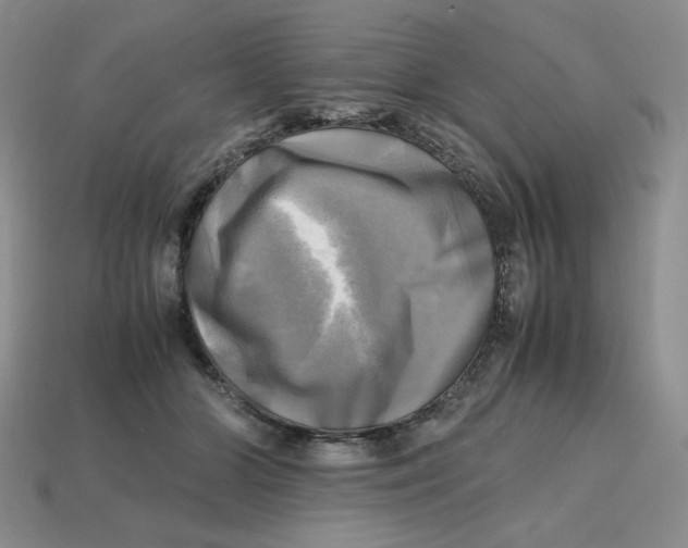 X0000112970510200909241329