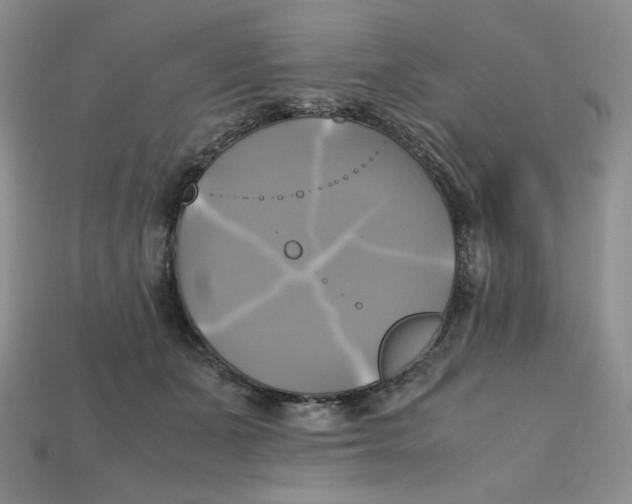 X0000112970511200909241329