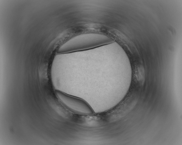 X0000112970512200909241329
