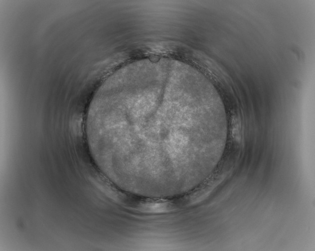 X0000112970514200909241329