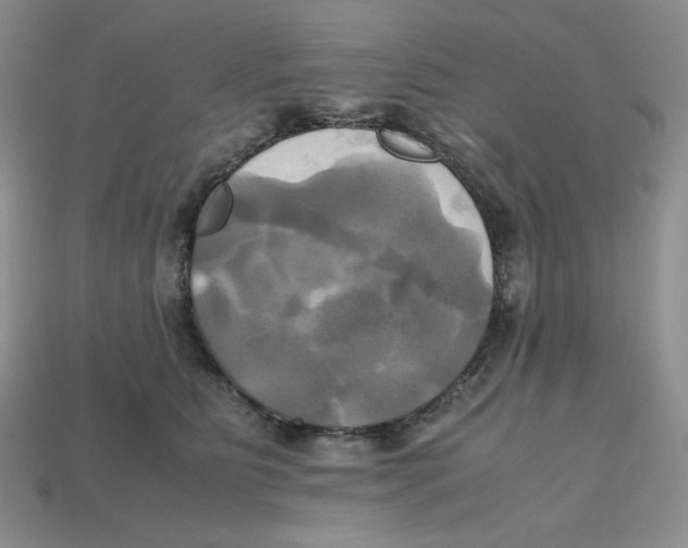 X0000112970515200909241329