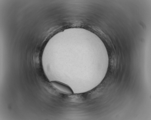 X0000112970516200909241329