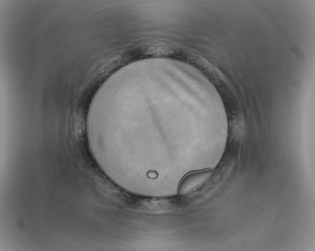 X0000112970517200909241329