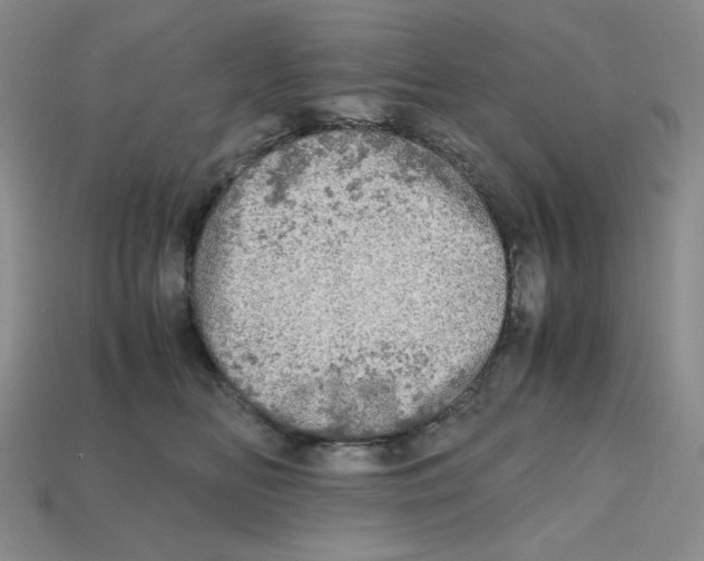 X0000112970518200909241329