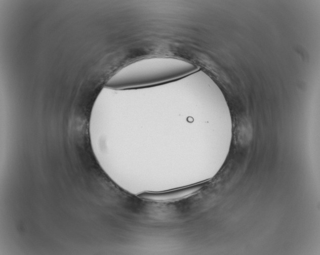 X0000112970521200909241329