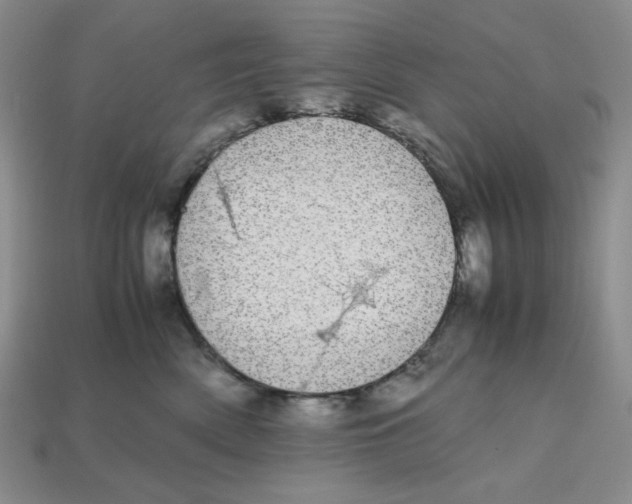 X0000112970522200909241329