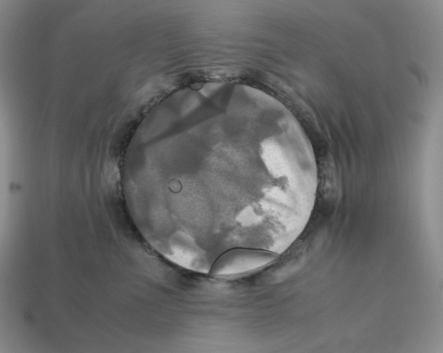 X0000112970523200909241329