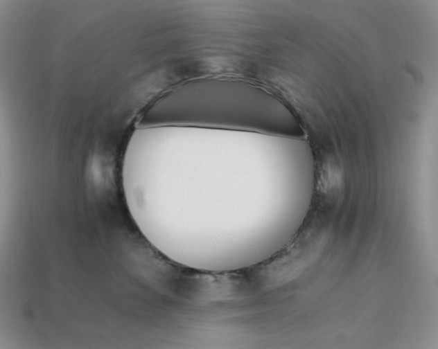 X0000112970524200909241329