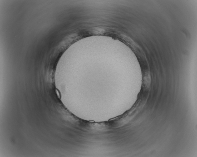 X0000112970525200909241329