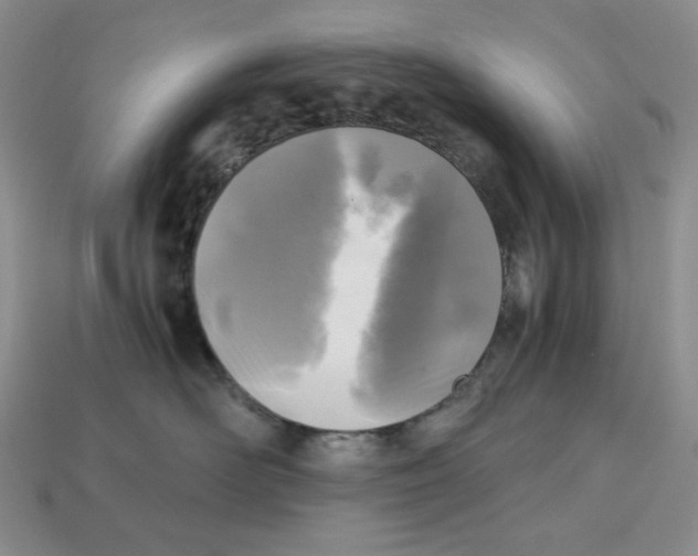 X0000112970526200909241329