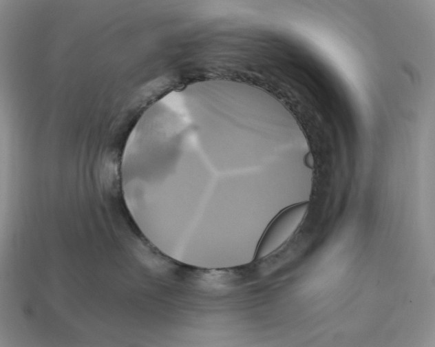 X0000112970527200909241329